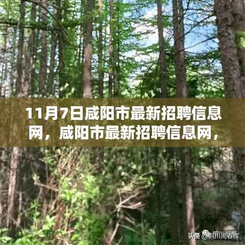 咸阳市最新招聘信息网,与自然美景同行,启程寻找内心的平静与喜悦之旅