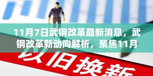 武钢改革最新动态解析，聚焦11月7日新动向