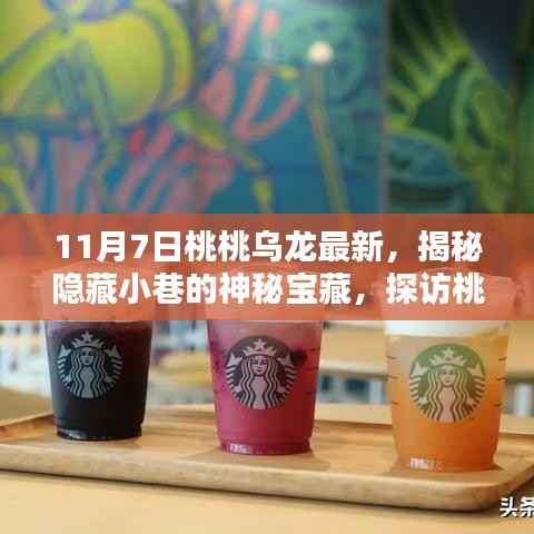 揭秘桃桃乌龙最新隐藏版小店的神秘宝藏之旅(探访小巷深处的惊喜)