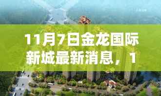 11月7日金龙国际新城独家揭秘,最新动态与惊喜连连