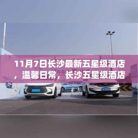 长沙五星级酒店日常,温馨际遇与深厚友情(最新更新)