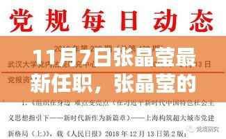 张晶莹新篇章，11月7日的惊喜发现与小巷深处的独特风味