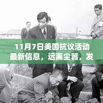 美国抗议活动间隙的自然美景之旅,远离尘嚣,发现内心平静