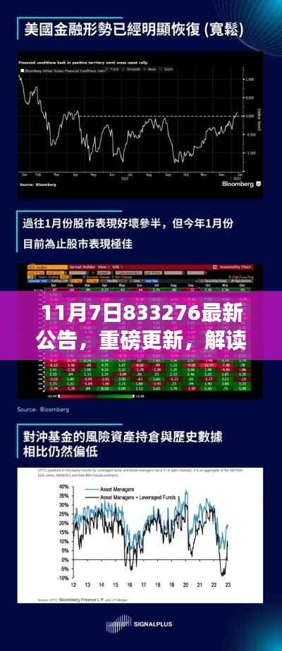 重磅更新解读,11月7日最新公告833276揭秘,洞悉未来趋势展望