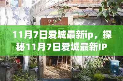 探秘爱城最新IP,巷弄深处的独特小店(11月7日更新)