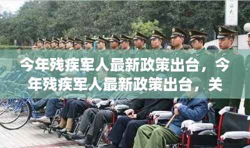 今年残疾军人最新政策关注与解读,政策更新及解读