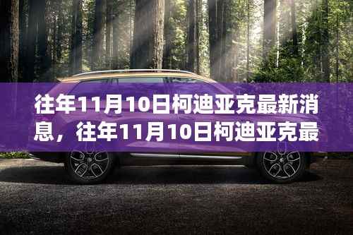 往年11月10日柯迪亚克最新消息深度解析,各方观点与个人立场探讨