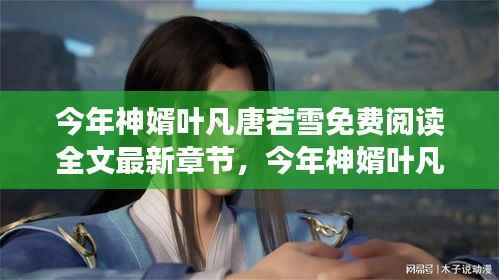 今年神婿叶凡唐若雪最新章节免费阅读全文攻略及最新免费阅读章节标题推荐