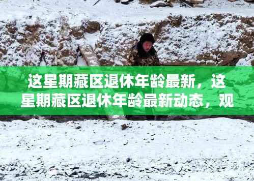 藏区退休年龄最新动态,观点阐述与解析