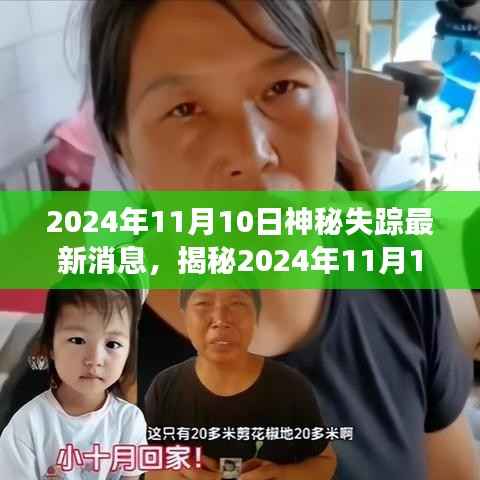 揭秘,2024年11月10日神秘失踪事件最新进展与深度解析
