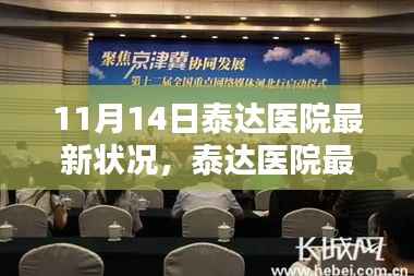 11月14日泰达医院最新状况报道,动态分析与要点聚焦