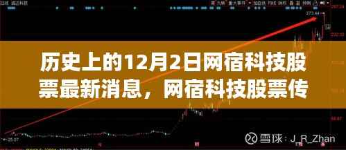 网宿科技股票传奇,友谊与爱铸就的奇迹,温馨日常与股市动态回顾(最新消息)