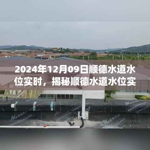 揭秘顺德水道水位实时状况,一场关于时间与自然的探索之旅(2024年12月9日更新)