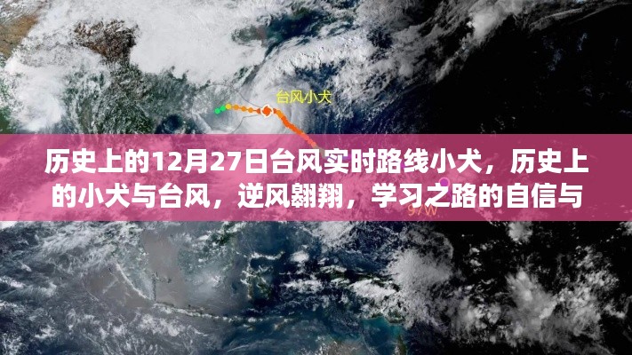 历史上的12月27日台风与小犬的逆风翱翔,学习之路的自信与成就感之路