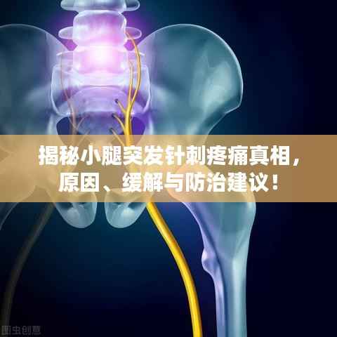 揭秘小腿突发针刺疼痛真相,原因、缓解与防治建议!