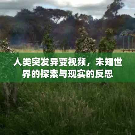 人类突发异变视频,未知世界的探索与现实的反思