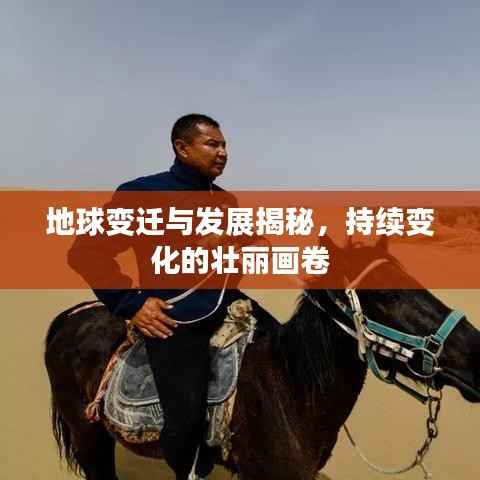 笨鸟先飞 第3页