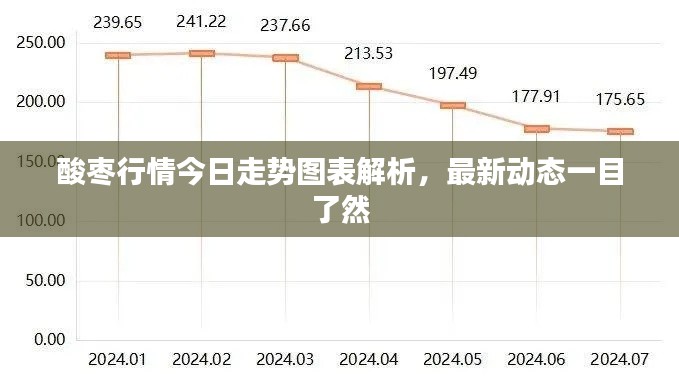 酸枣行情今日走势图表解析,最新动态一目了然
