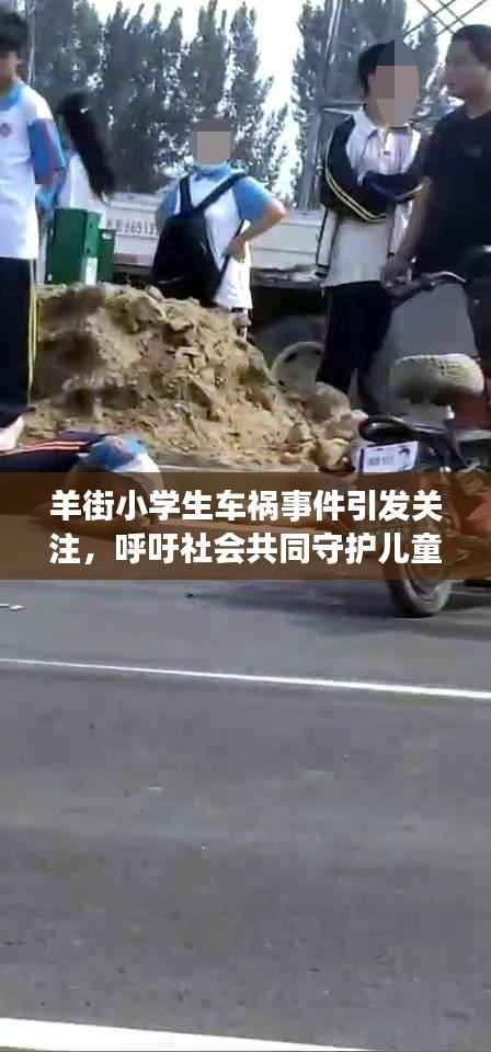 羊街小学生车祸事件引发关注,呼吁社会共同守护儿童安全