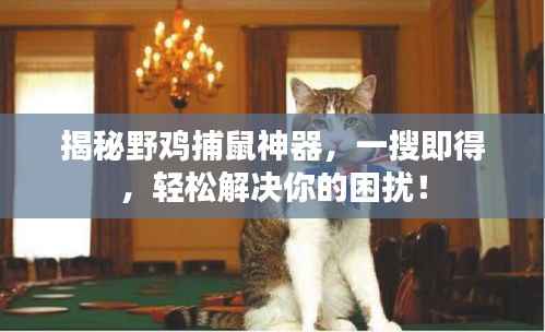 荣华富贵 第3页