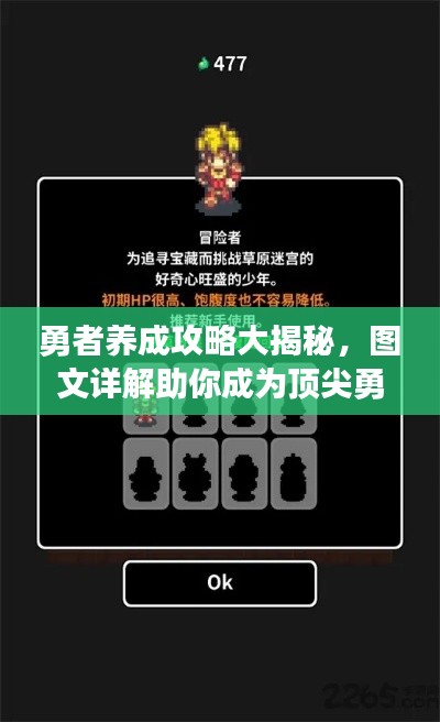 勇者养成攻略大揭秘,图文详解助你成为顶尖勇者!