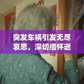 突发车祸引发无尽哀思,深切缅怀逝去的生命