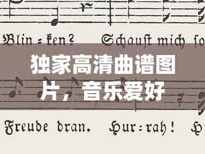 独家高清曲谱图片，音乐爱好者的收藏之选