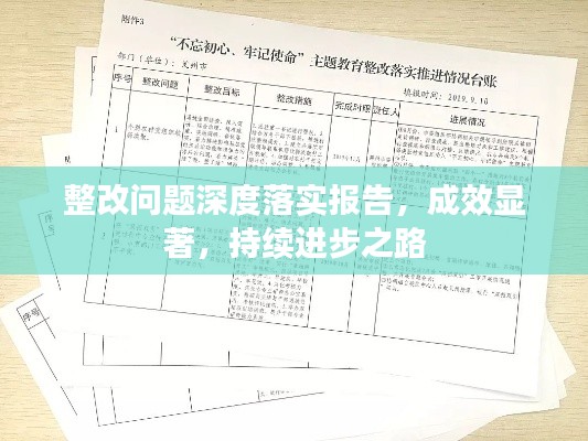 整改问题深度落实报告,成效显著,持续进步之路