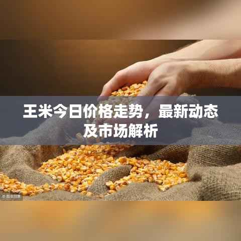标新竞异