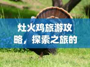 各就各位