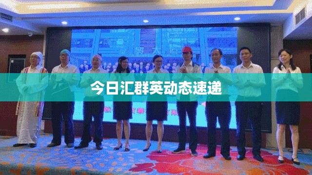 今日汇群英动态速递